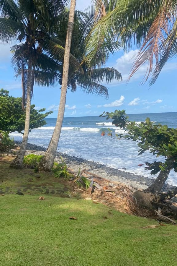 Cruise Brothers Travel Agent Roxanne kalp